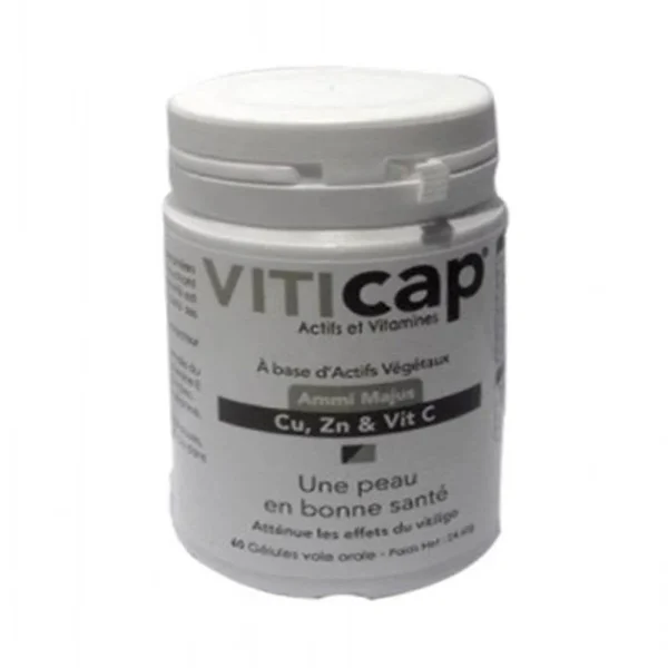 VITICAP ACTIFS ET VITAMINES B 60 GELULES – Image 1